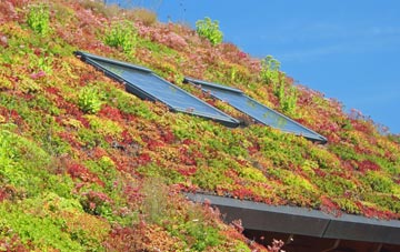 Rendcomb living roof systems